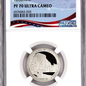 Graded 2021-W American Platinum Eagle coin with high detail and cameo finish.